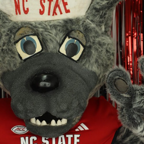 Wolf in Photo Booth